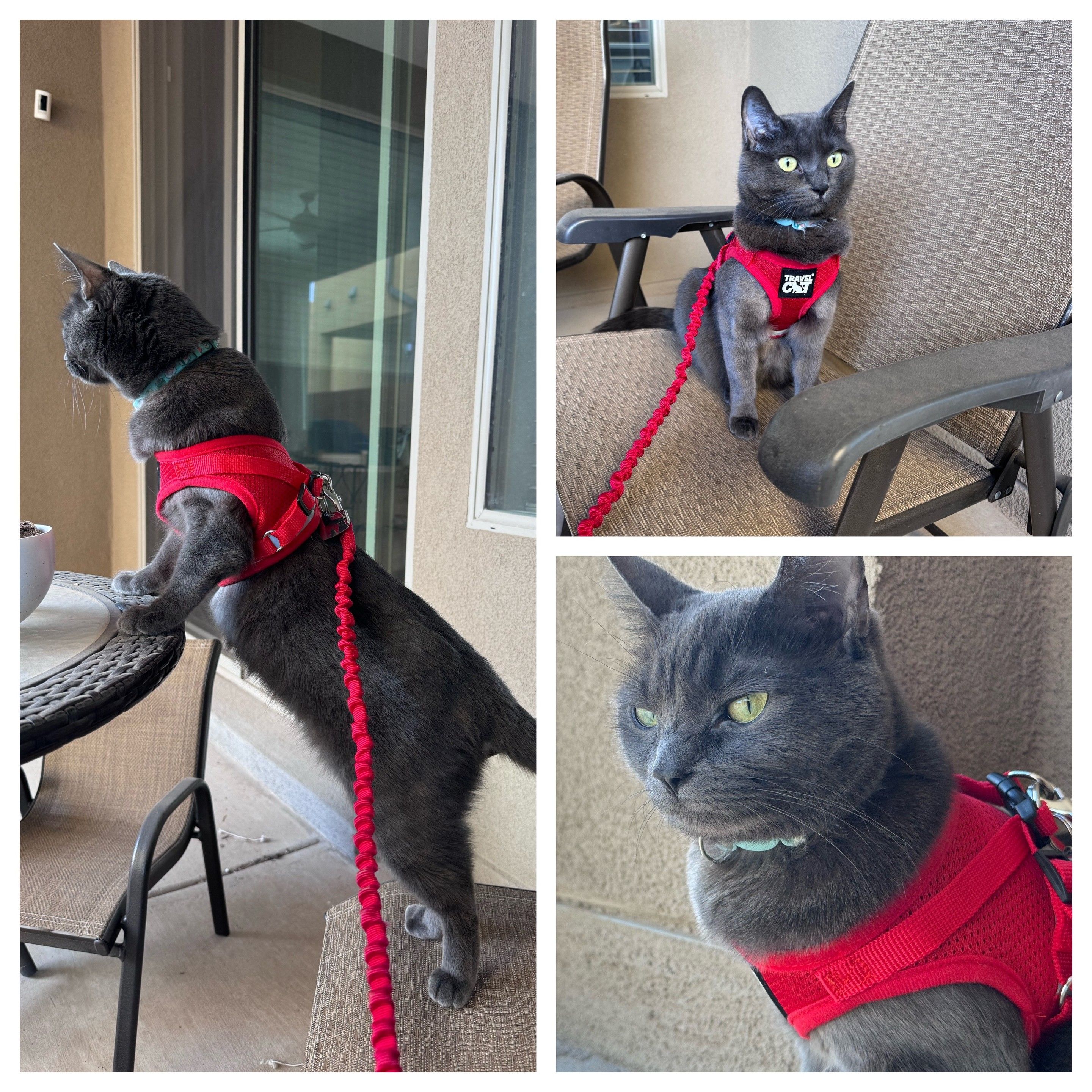 Mastodon Post 2024-03-16