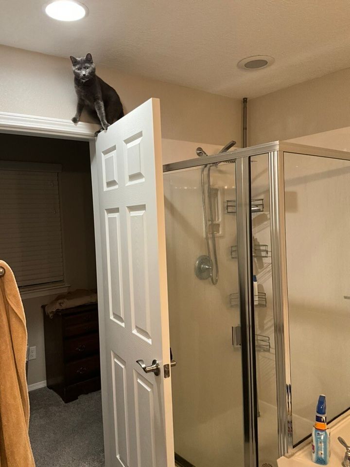 Mastodon Post 2023-08-05