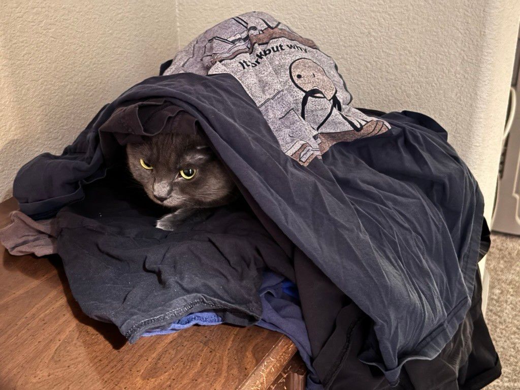 Mastodon Post 2024-04-27