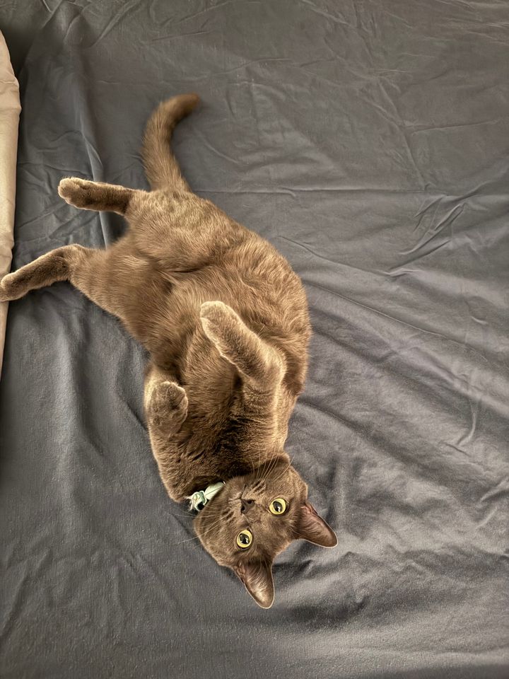 Mastodon Post 2024-03-02