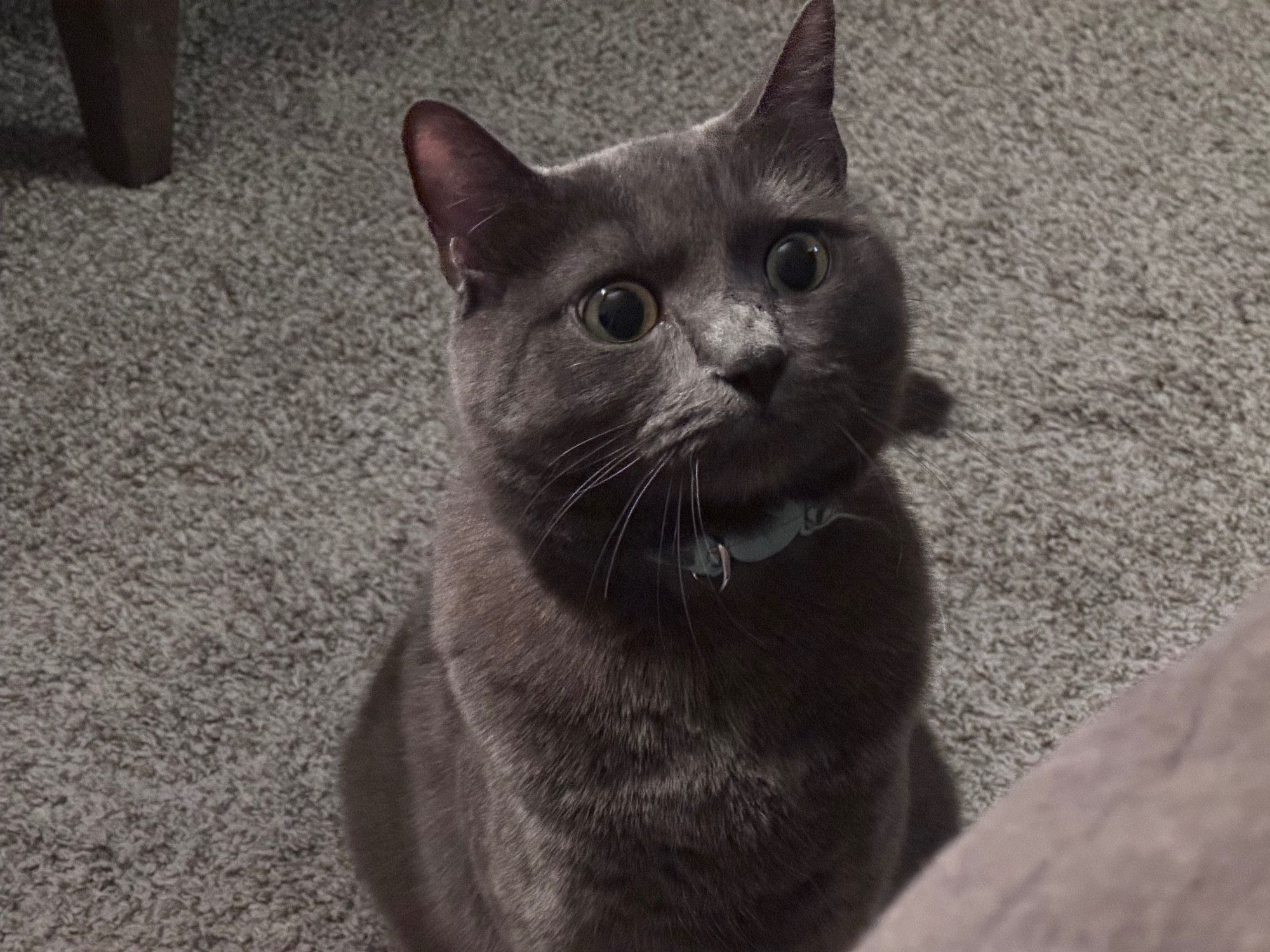 Bluesky Post 2024-10-05