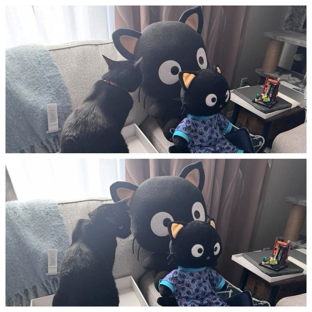 Mastodon Post 2024-12-21