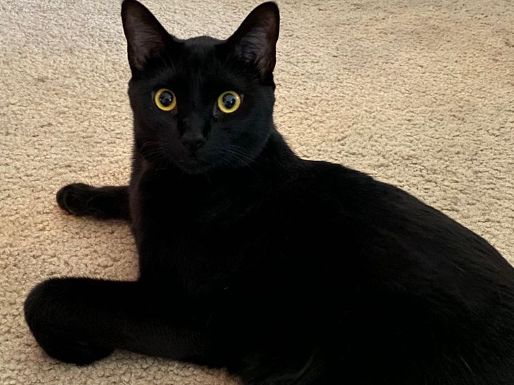 Mastodon Post 2024-10-26