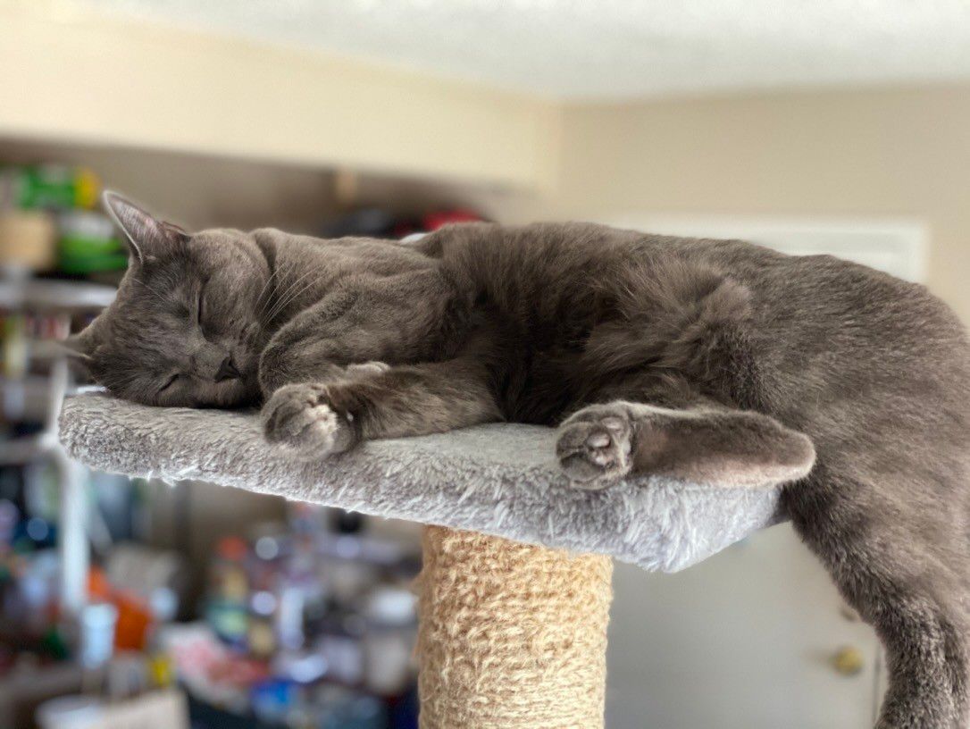 Mastodon Post 2023-11-25