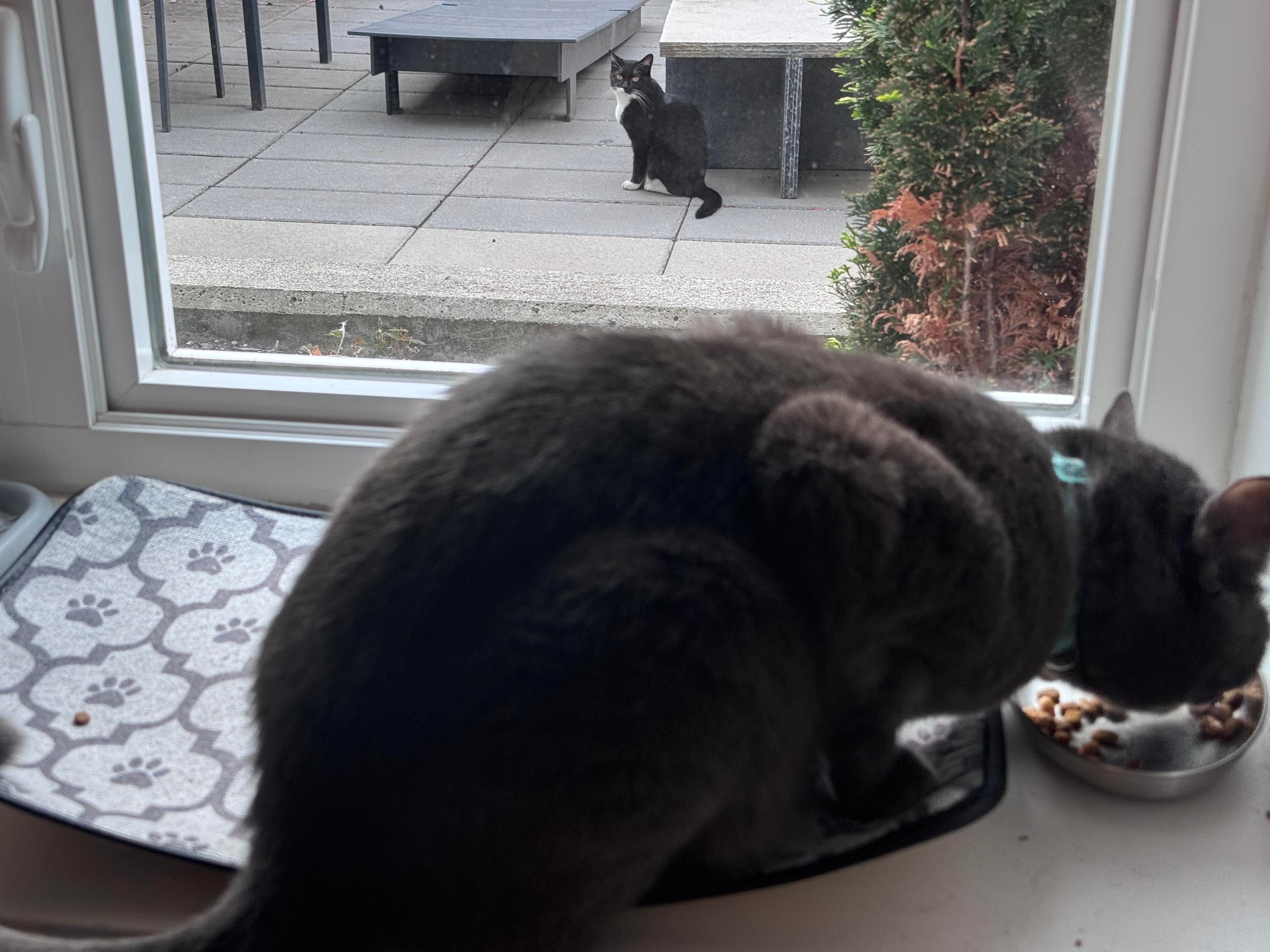 Mastodon Post 2025-09-06