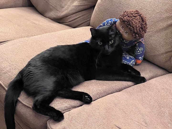 Mastodon Post 2023-06-17