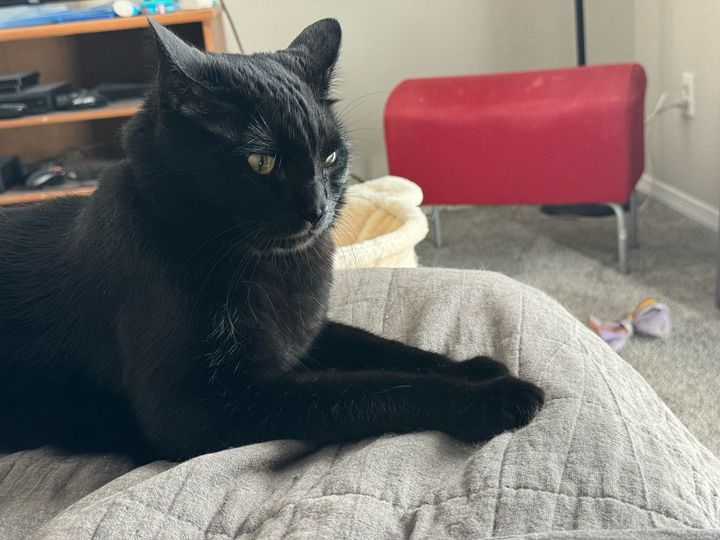 Bluesky Post 2024-08-31