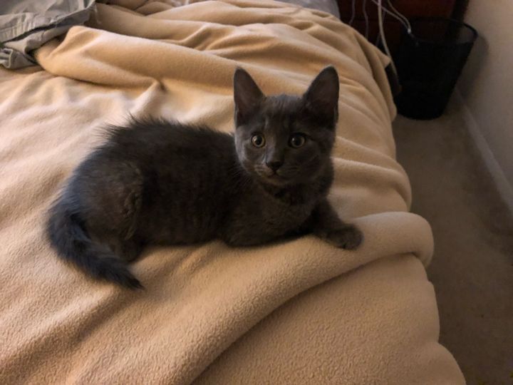 Bluesky Post 2024-06-22