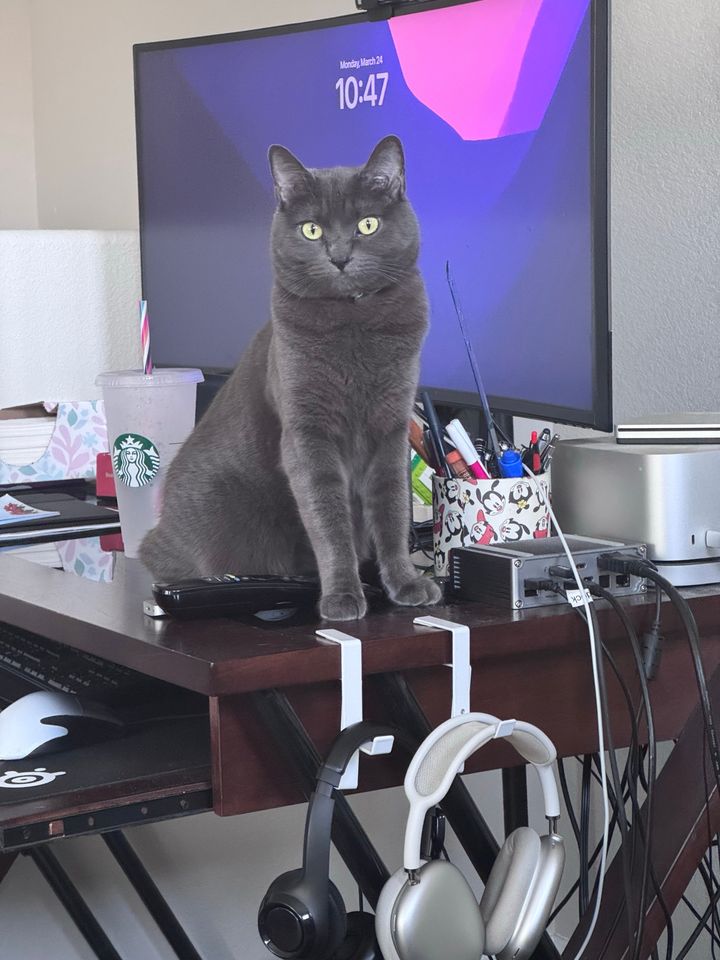 Bluesky Post 2025-04-05