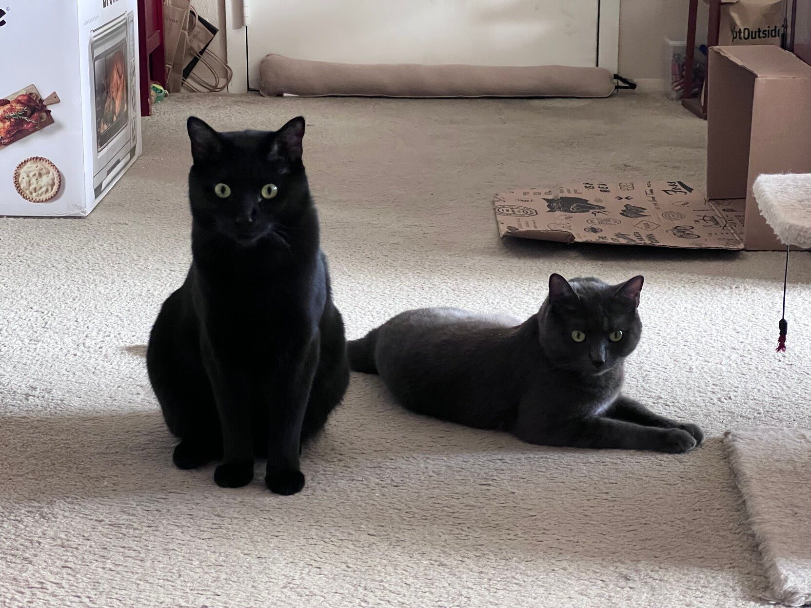 Mastodon Post 2023-02-11