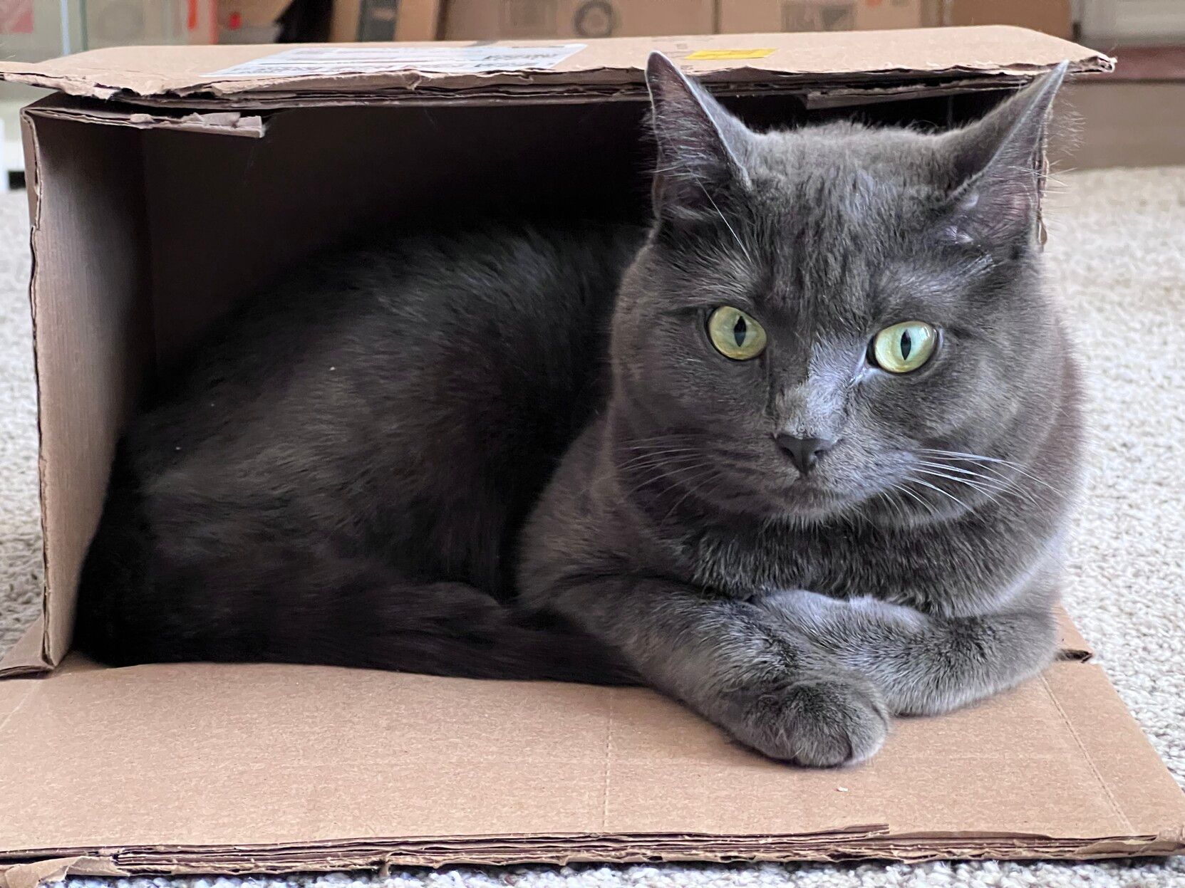 Mastodon Post 2023-04-16