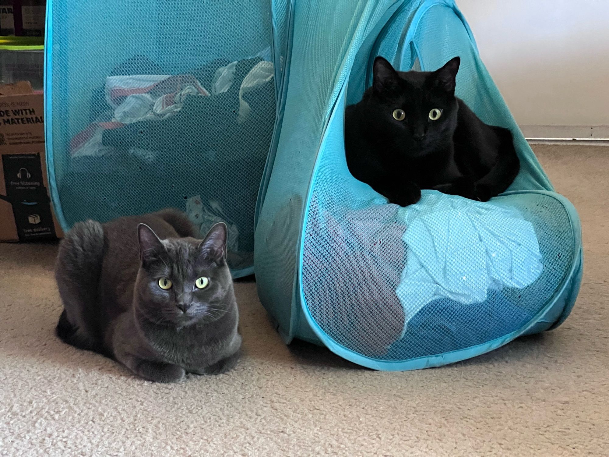 Bluesky Post 2023-12-09