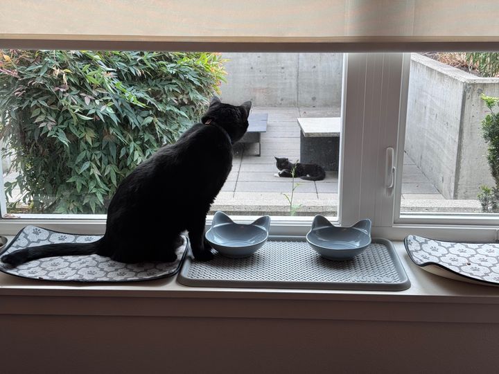 Bluesky Post 2025-08-30