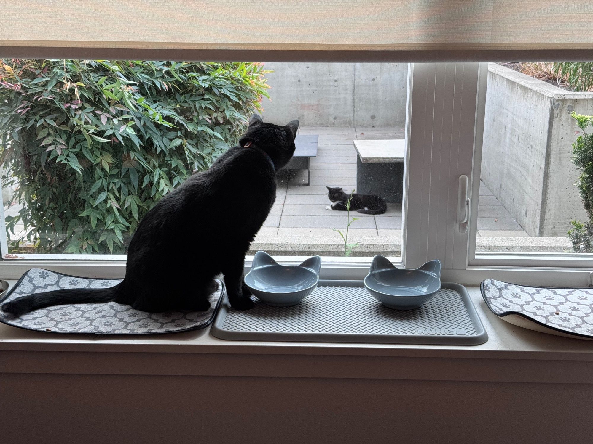 Bluesky Post 2025-08-30