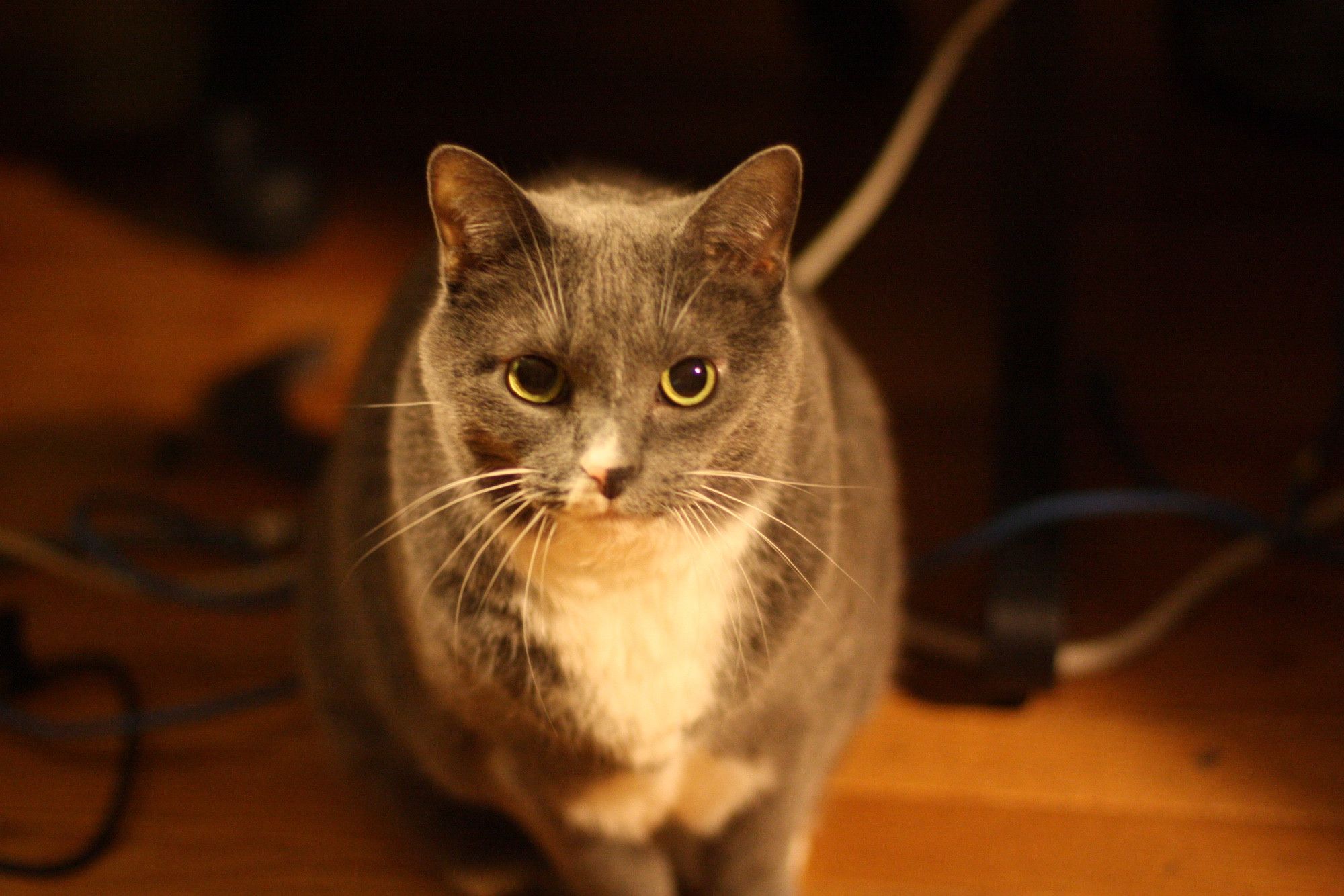 Bluesky Post 2023-12-23