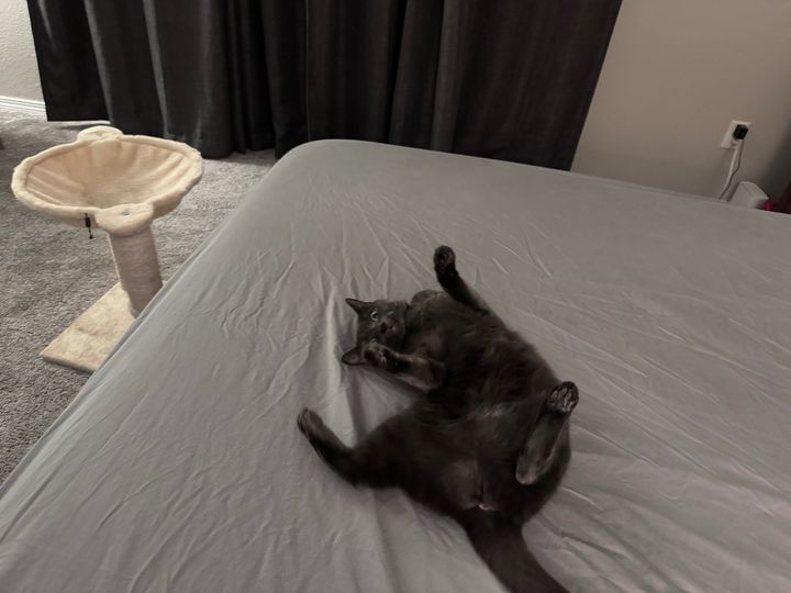 Bluesky Post 2024-05-25