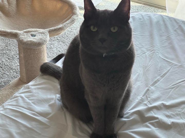 Mastodon Post 2025-05-31