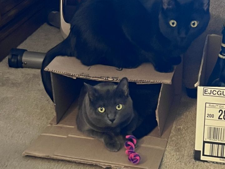 Mastodon Post 2023-02-18