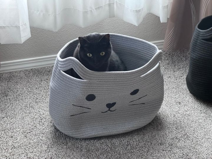 Bluesky Post 2024-02-10