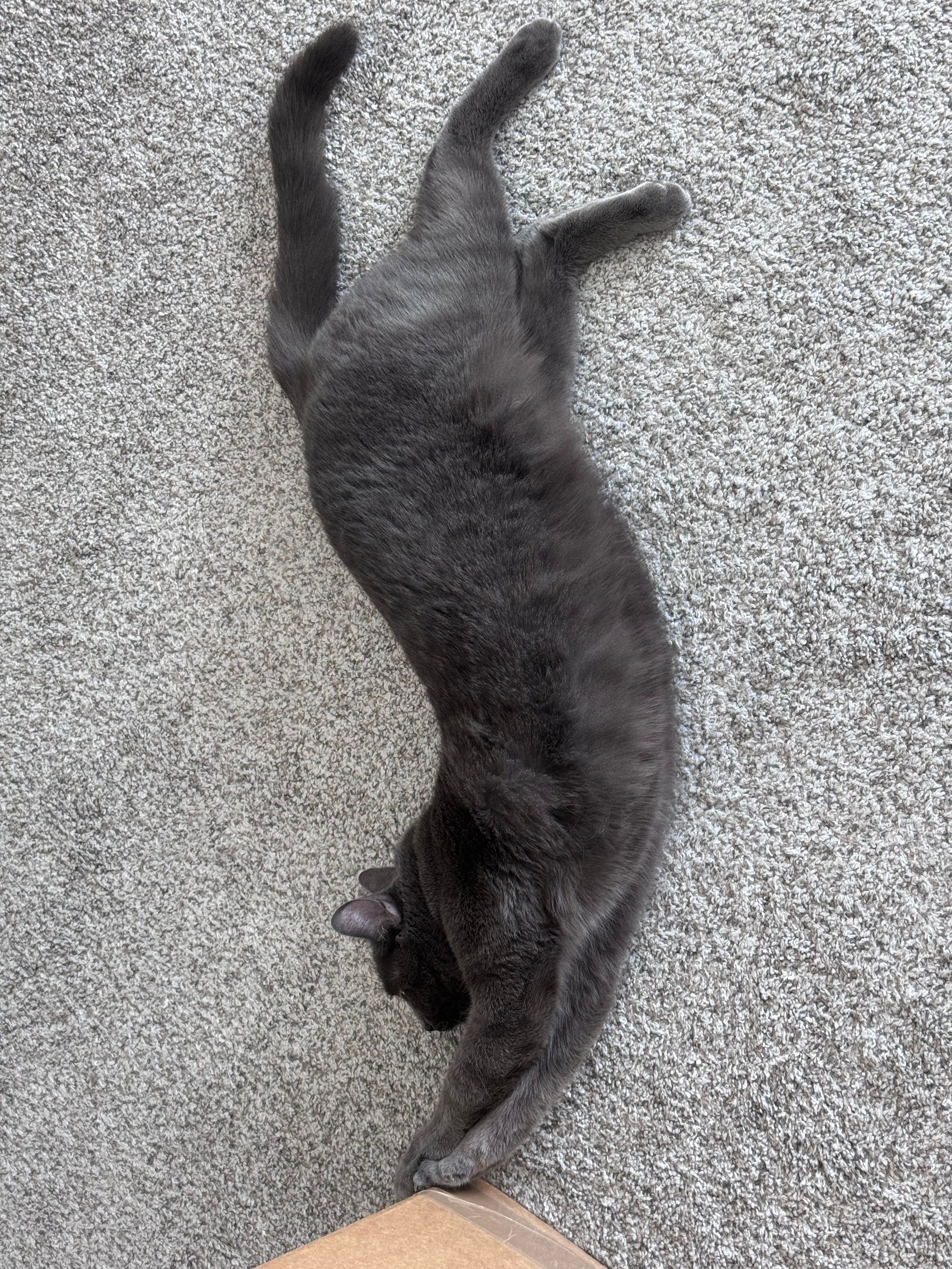 Mastodon Post 2024-04-13