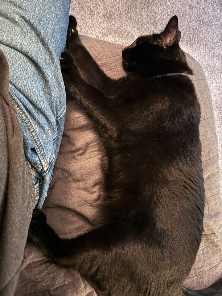 Mastodon Post 2024-11-06