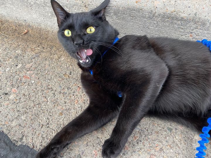 Mastodon Post 2023-07-01