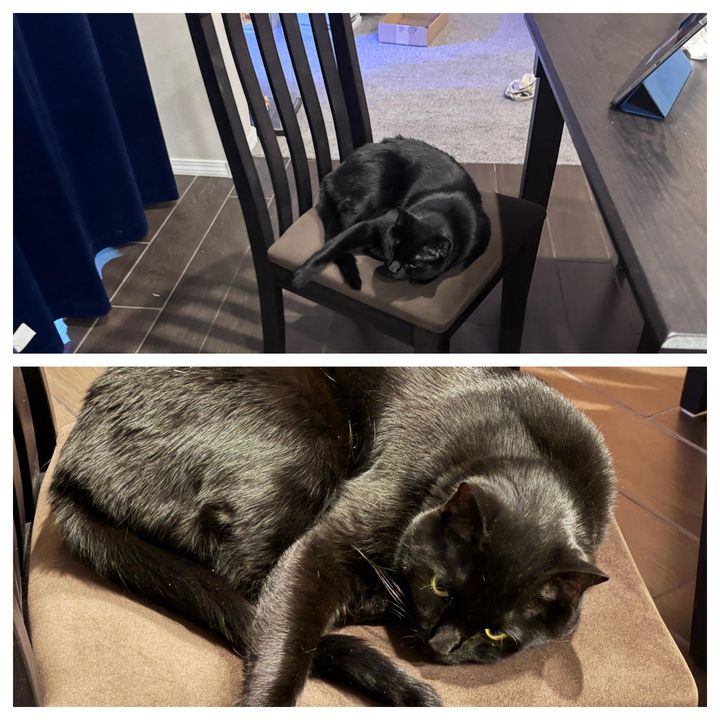 Mastodon Post 2025-01-04