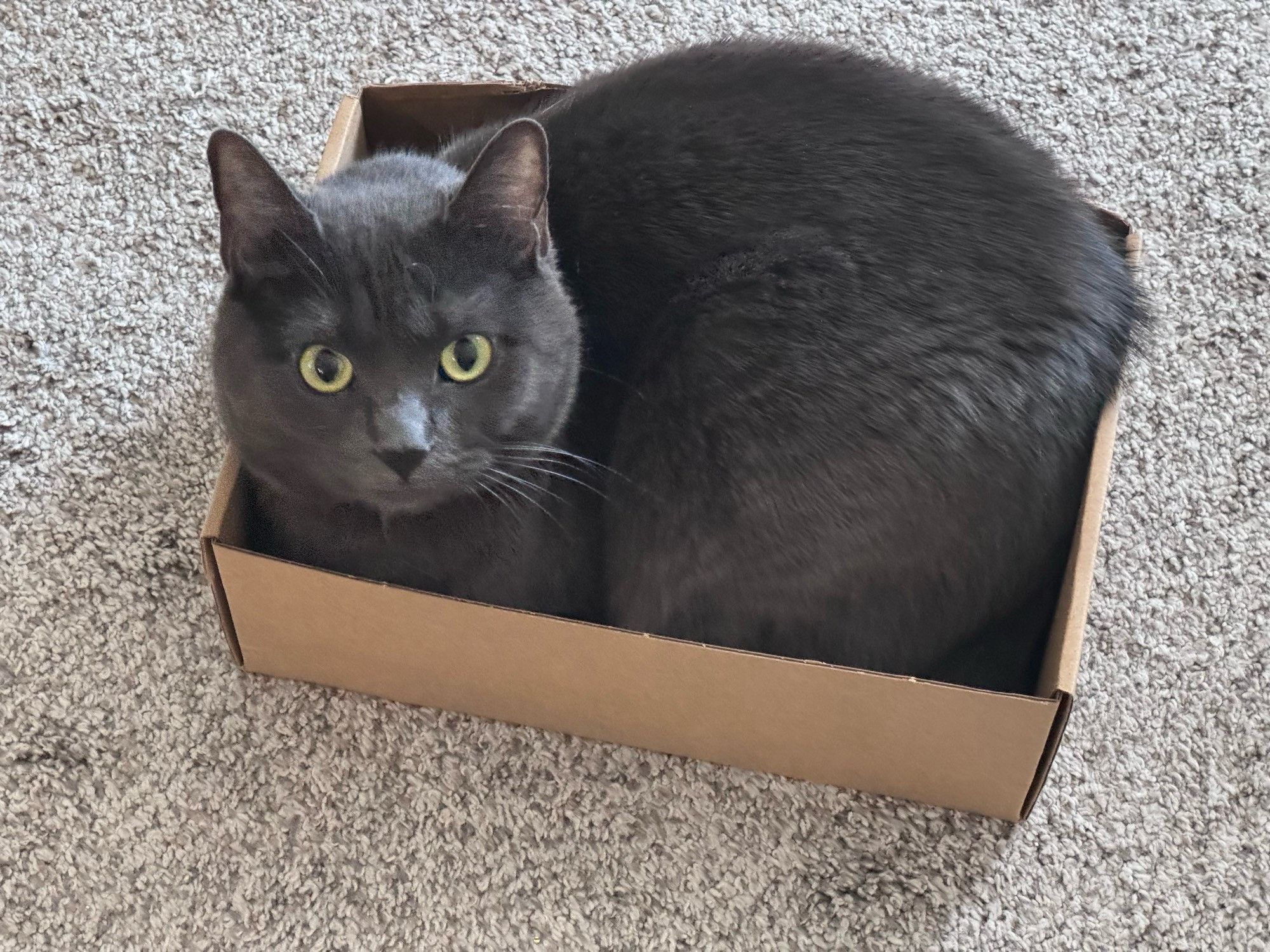 Bluesky Post 2024-06-08