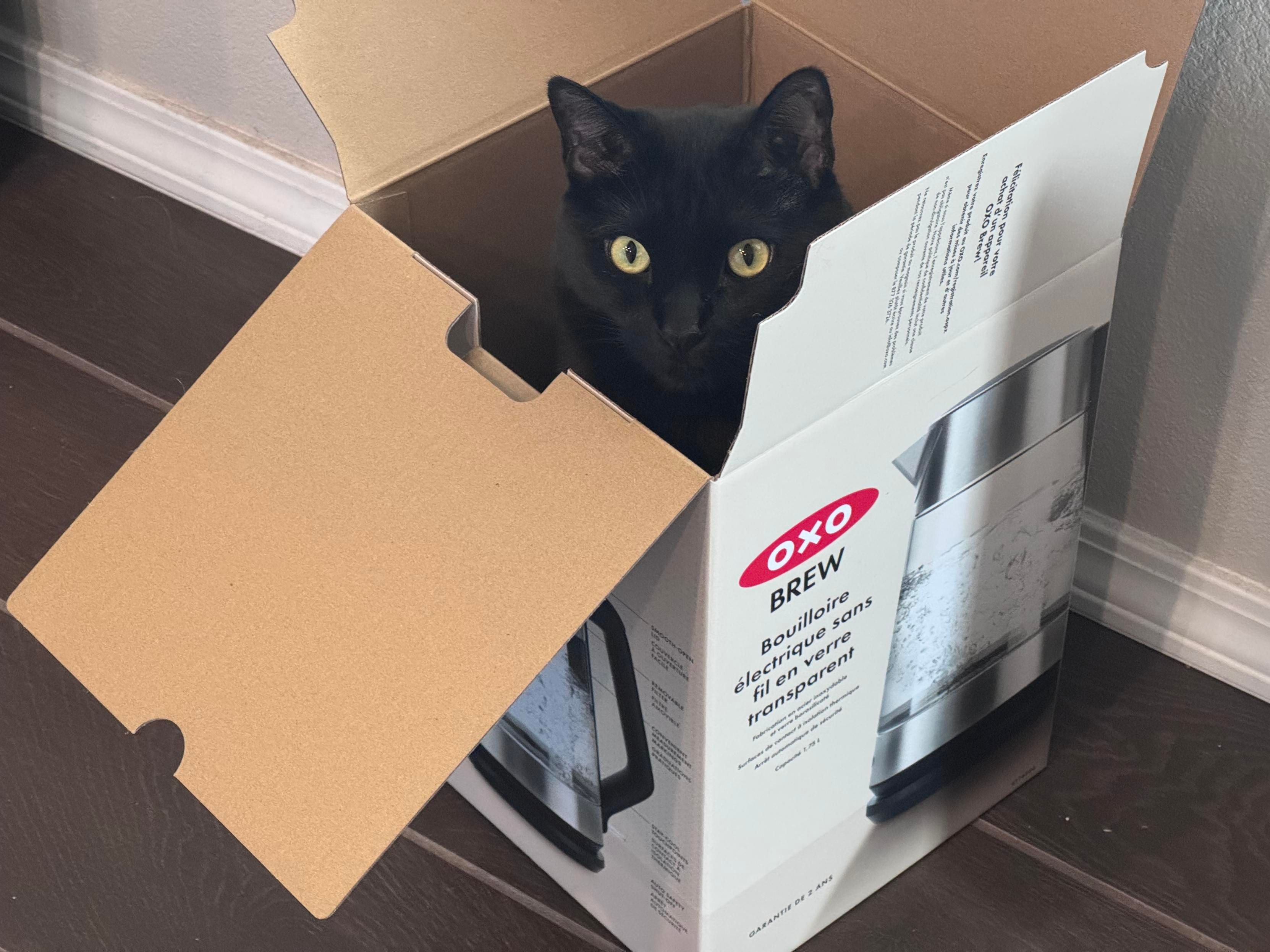 Mastodon Post 2025-02-15