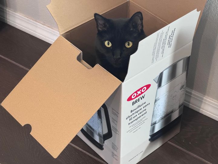 Mastodon Post 2025-02-15