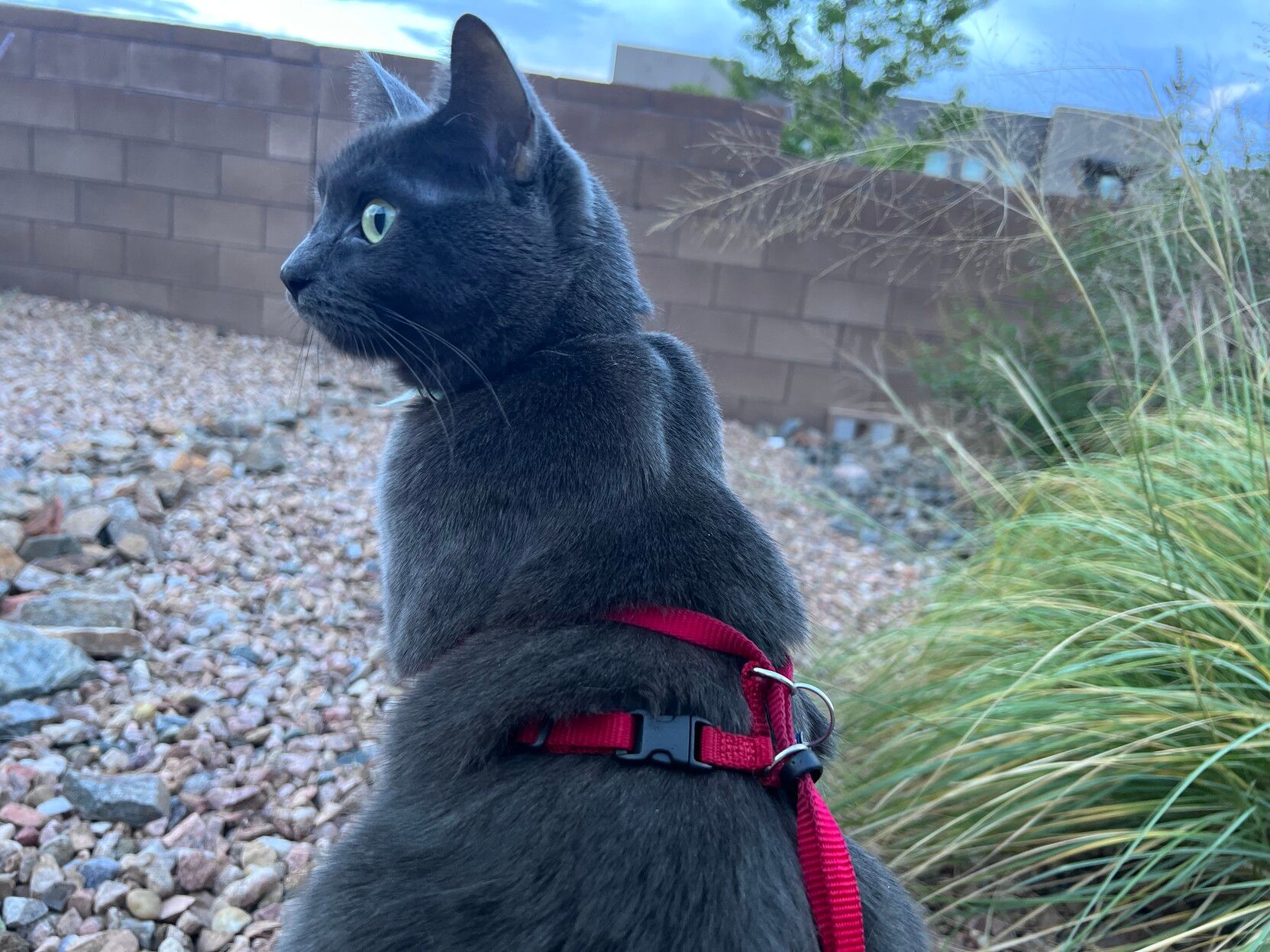 Mastodon Post 2023-09-02