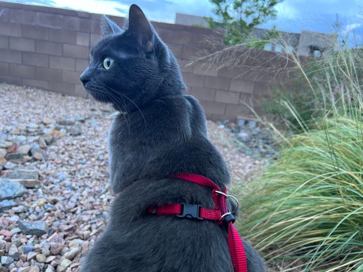 Mastodon Post 2023-09-02