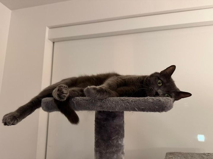 Mastodon Post 2026-01-11