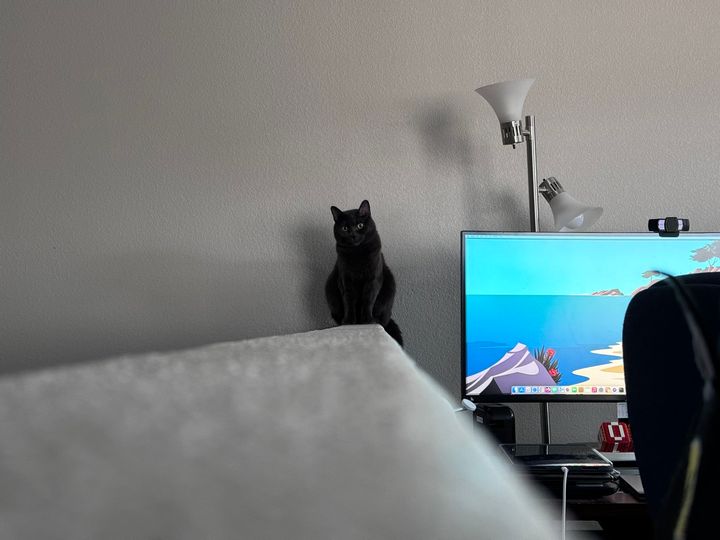 Mastodon Post 2024-02-04