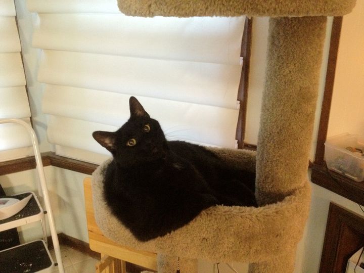 Mastodon Post 2023-12-30