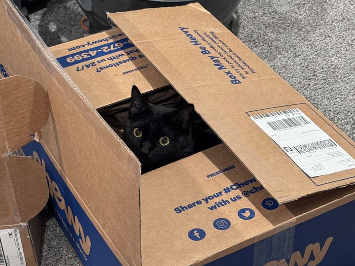 Mastodon Post 2024-06-01