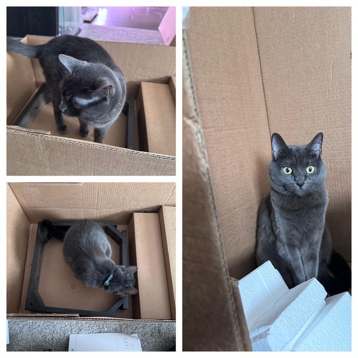 Mastodon Post 2024-12-28