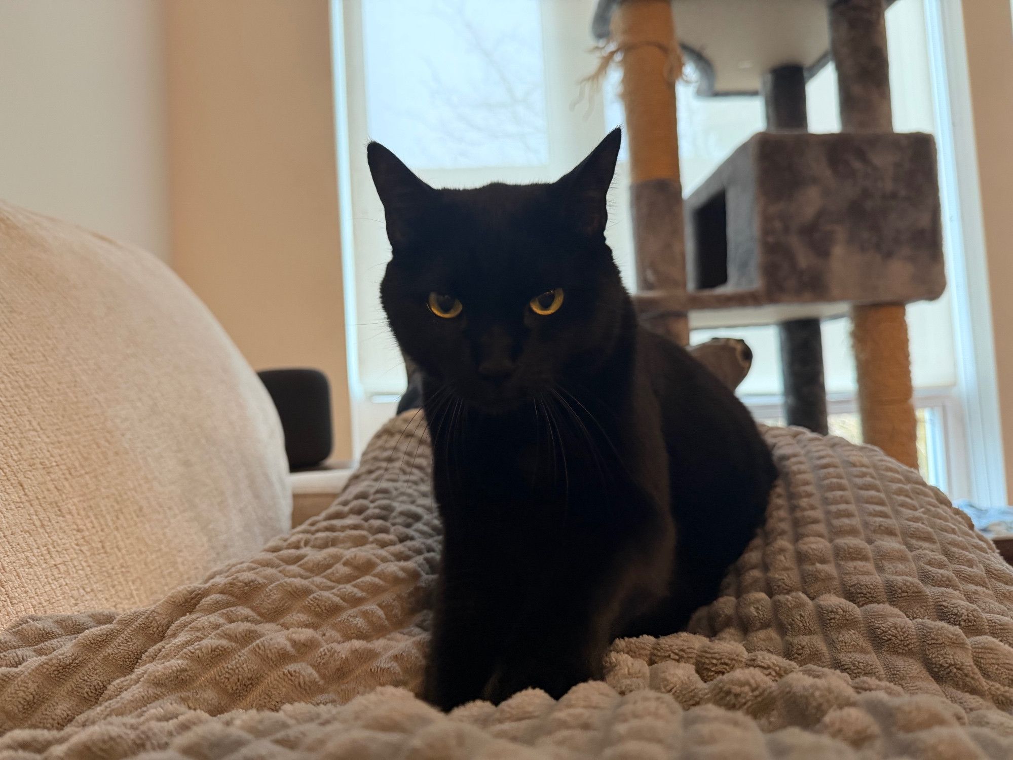 Bluesky Post 2026-01-17