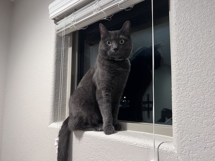 Bluesky Post 2024-03-30