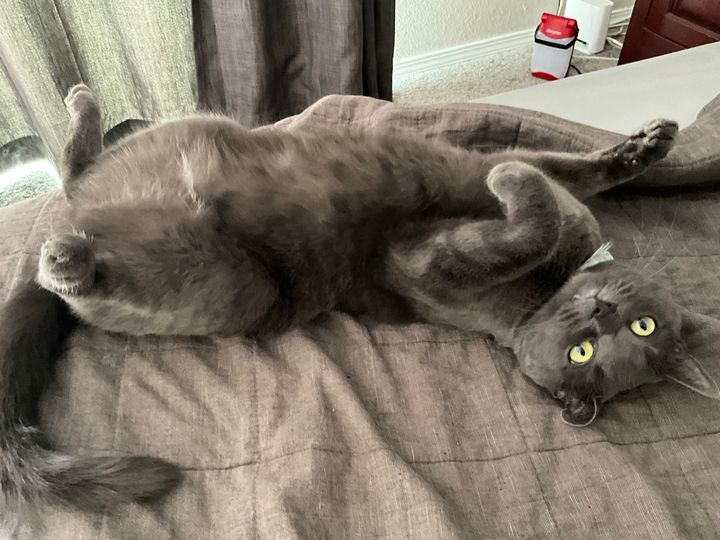 Bluesky Post 2025-05-03