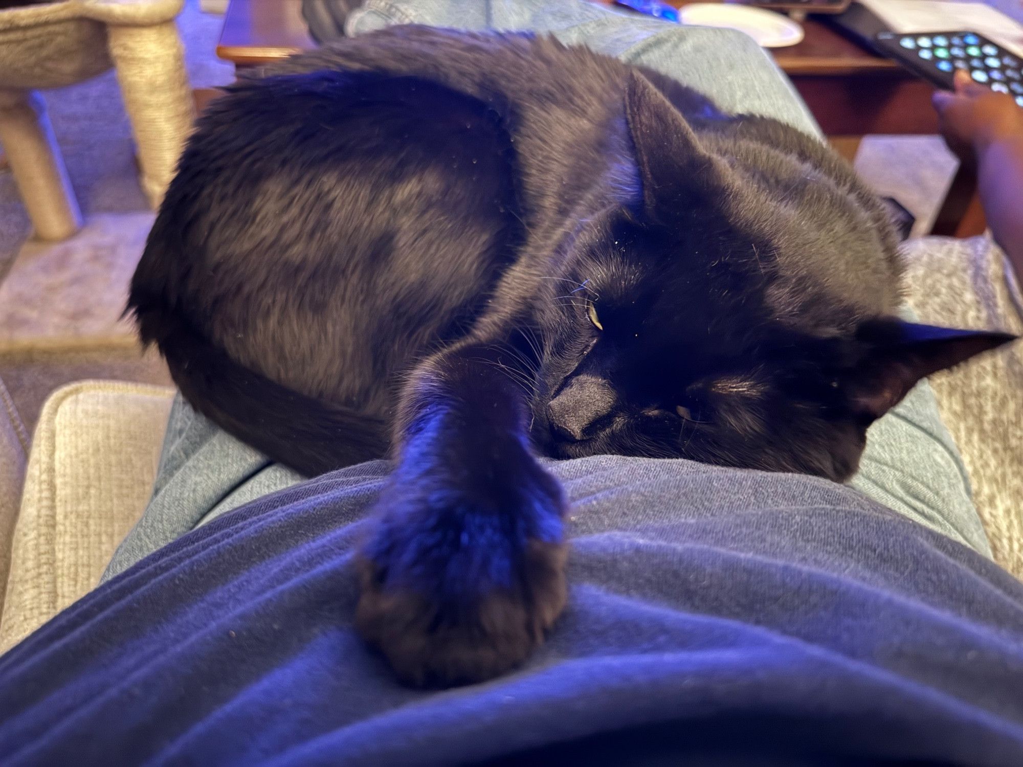 Bluesky Post 2025-03-16