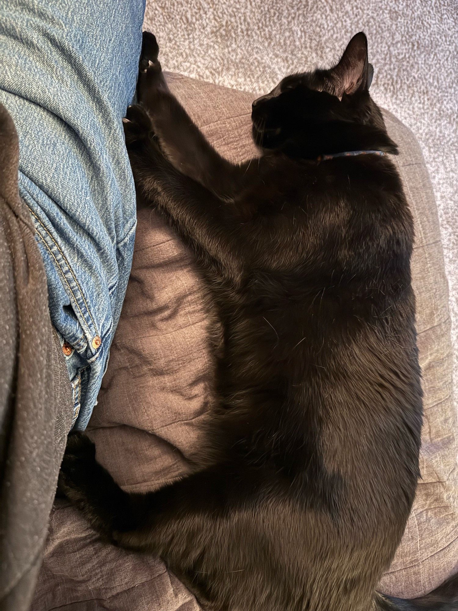 Bluesky Post 2024-11-06