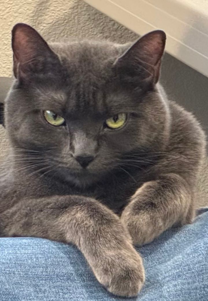 Mastodon Post 2024-11-16