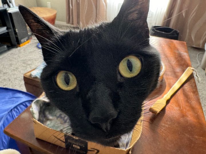 Mastodon Post 2024-03-10