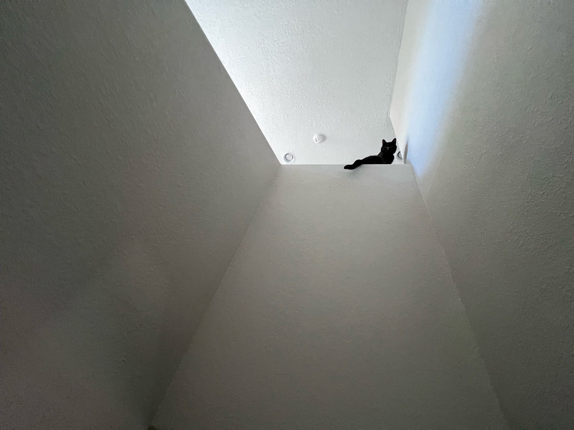 Bluesky Post 2023-10-28