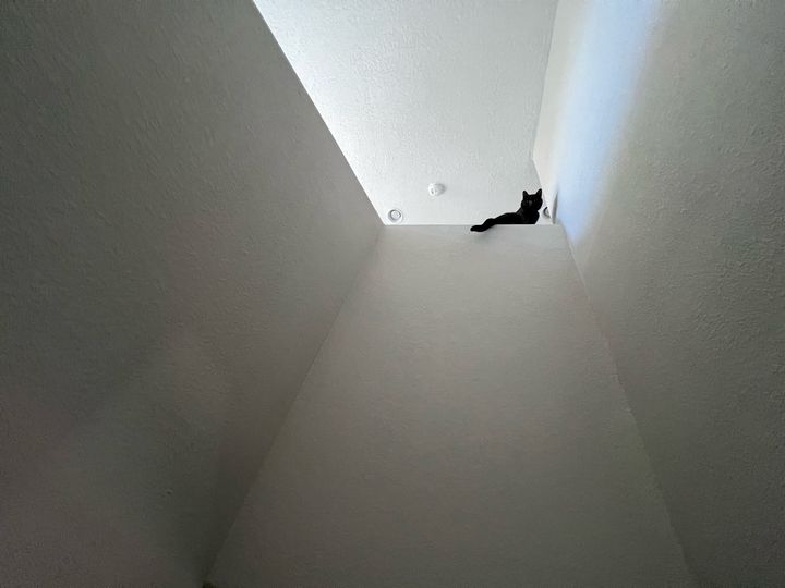 Bluesky Post 2023-10-28