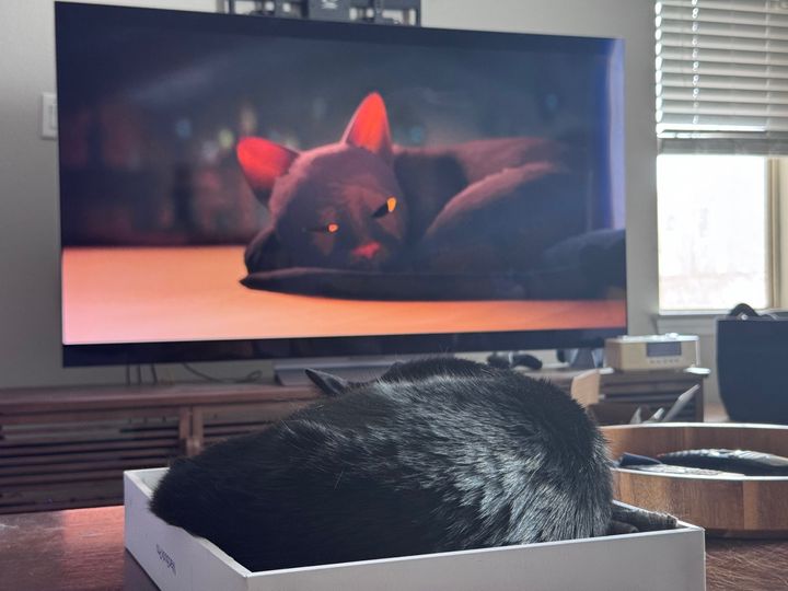 Bluesky Post 2025-03-29