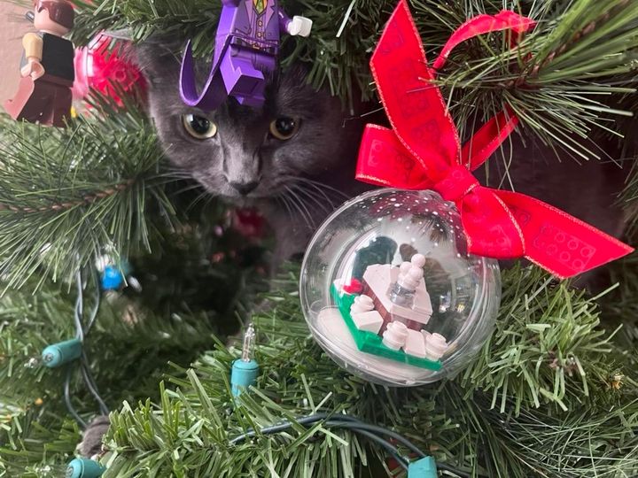 Mastodon Post 2025-12-25