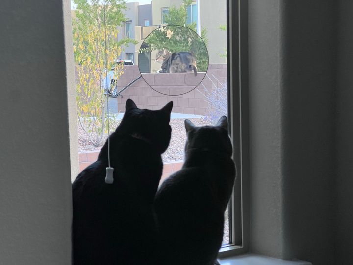 Mastodon Post 2023-10-07