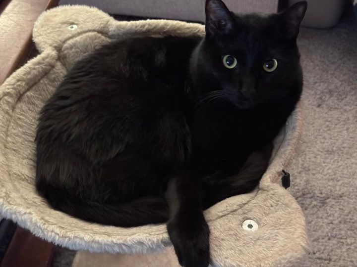 Mastodon Post 2025-06-21